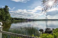 Toronto's Sunny Park Landscape