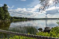 Toronto's Sunny Park Landscape