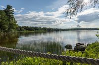 Toronto's Sunny Park Landscape