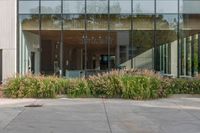 an empty building with glass windows with flower bed and potted plants in front of it