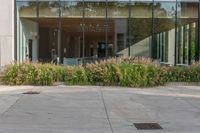 an empty building with glass windows with flower bed and potted plants in front of it