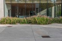 an empty building with glass windows with flower bed and potted plants in front of it