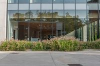 an empty building with glass windows with flower bed and potted plants in front of it