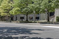 the street is lined with large trees and buildings with a sidewalk next to it with benches underneath