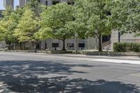 the street is lined with large trees and buildings with a sidewalk next to it with benches underneath