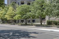 the street is lined with large trees and buildings with a sidewalk next to it with benches underneath