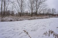 Winter Morning in Toronto