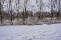 Winter Morning in Toronto