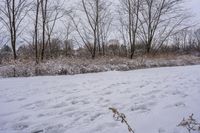 Winter Morning in Toronto