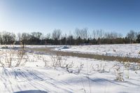 Winter Road in Toronto