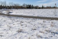 Winter Road in Toronto