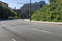 a street scene with focus on the road, trees and bushes, with buildings in the background