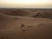 tracks are seen in the sand as the sun sets in the background and mountains appear in the distance