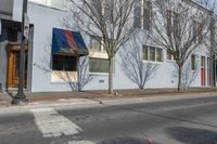 trees casting shadows on a building outside in the sun while a crosswalk passes by