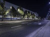 Tree-Lined Road with Asphalt and Building