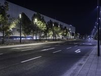 Tree-Lined Road with Asphalt and Building