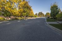 the paved street leading to the back of an apartment complex, with trees all around