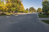 the paved street leading to the back of an apartment complex, with trees all around