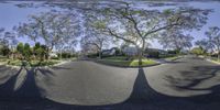 the sun shines through trees as seen from a point - of - view camera lens