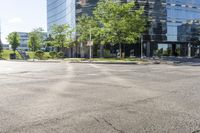 Tree-lined Roads and Asphalt Streets in Toronto 001