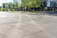 Tree-Lined Roads and Asphalt Streets in Toronto