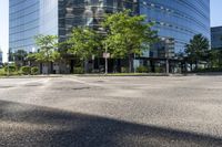 Tree-Lined Roads and Asphalt Streets in Toronto