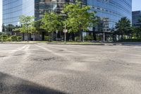 Tree-Lined Roads and Asphalt Streets in Toronto 004