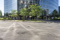 Tree-Lined Roads and Asphalt Streets in Toronto 005