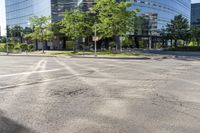 Tree-Lined Roads and Asphalt Streets in Toronto