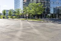 Tree-Lined Roads and Asphalt Streets - Toronto 007