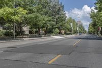 empty city street with no traffic, and tree lined roadway in the background for no pedestrians to make it