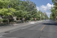 empty city street with no traffic, and tree lined roadway in the background for no pedestrians to make it