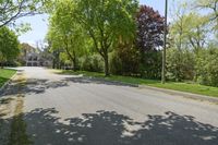 a tree - lined street in the suburb neighborhood of lakewood, illinois, with several trees casting shadows on the asphalt