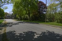 a tree - lined street in the suburb neighborhood of lakewood, illinois, with several trees casting shadows on the asphalt