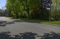 a tree - lined street in the suburb neighborhood of lakewood, illinois, with several trees casting shadows on the asphalt