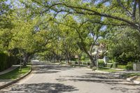 a tree lined street with houses and lush greenery surrounding it in a suburban neighborhood