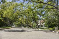 a tree lined street with houses and lush greenery surrounding it in a suburban neighborhood