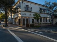 Tree Lined Street Shopping in the USA