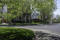 Tree-Lined Street in Toronto, Ontario