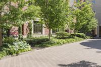 Tree-Lined Streets in a Charming Neighborhood