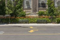 Tree-Lined Streets with Yellow Leaves in Toronto