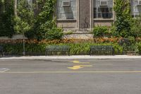 Tree-Lined Streets with Yellow Leaves in Toronto