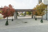 a tree lined walkway between two concrete statues and two buildings with red leaves on it