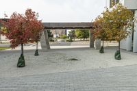 a tree lined walkway between two concrete statues and two buildings with red leaves on it