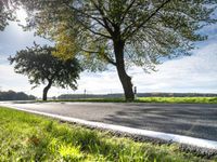 a tree sitting beside a road on the edge of a grass covered field while the sun shines