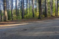 a black skateboard on a narrow, dirt road with trees in the background in a forest