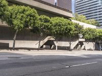 a group of trees growing on the side of a building by a road with tall buildings behind it