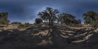 a small hill with a lot of trees casting shadows on it and on top of the mountain