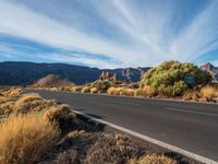 a road with bushes and shrubs along it, near mountains in the background and a sign reading desert canyon drive