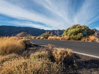 a road with bushes and shrubs along it, near mountains in the background and a sign reading desert canyon drive